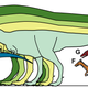 Illustration for article titled Pygmy Tyrannosaurs once ruled the Arctic reaches of Alaska